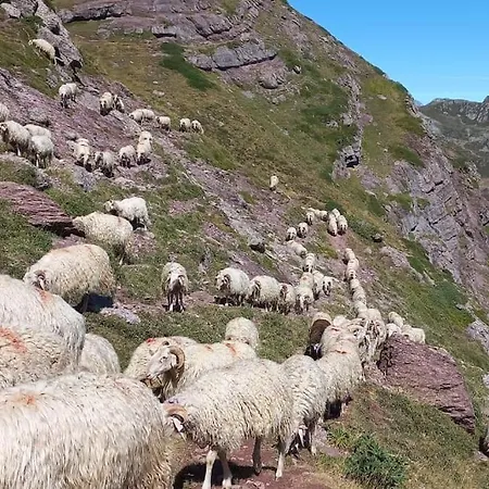 Les 2 P'tits Loups Osse-en-Aspe